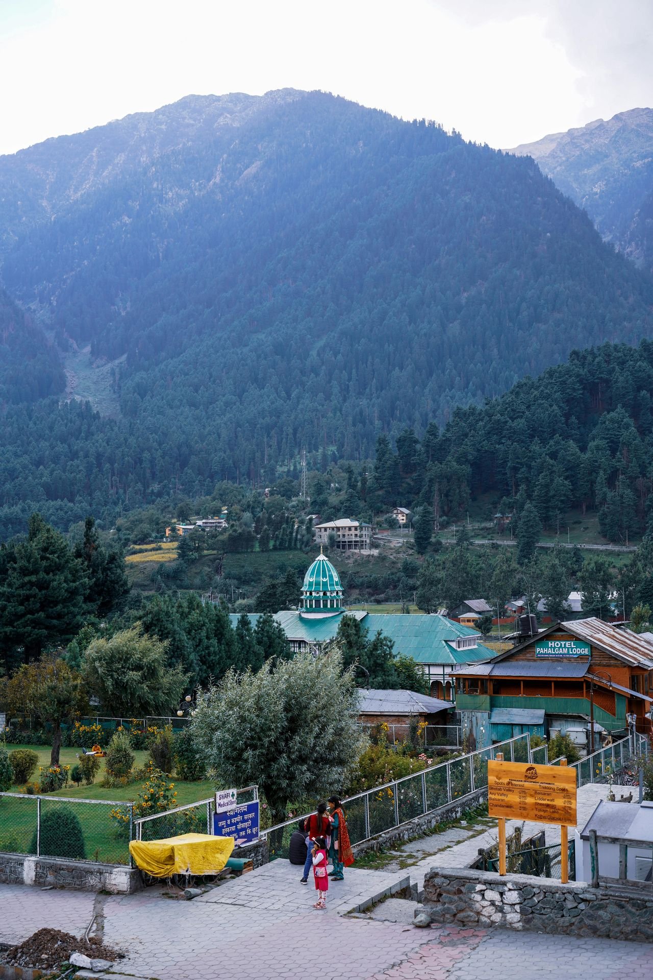 Syed Qaarif Andrabi/Pexels
