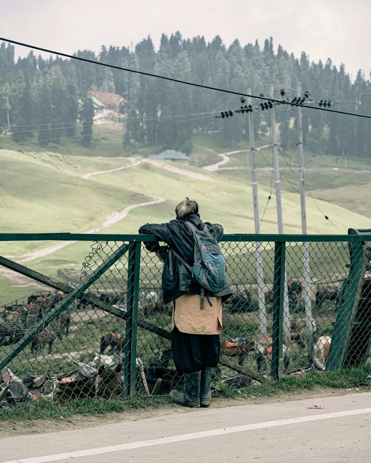 Basit Manzoor/Pexels